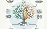 نوراینفو/ ردپای آلزایمر و دمانس در غذا خوردن؛ ۸ نشانه مهم را بشناسید