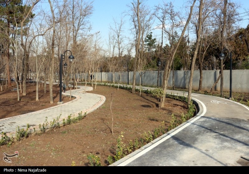 آمادگی 17 بوستان منطقه یک برای استقرار شهروندان در شرایط اضطراری