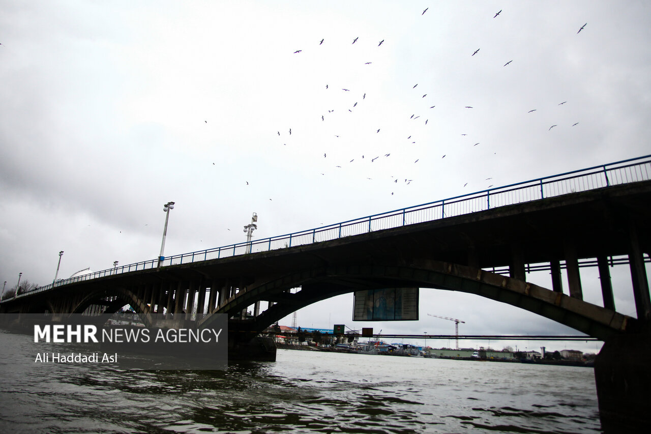 پیشرفت ۶۱ درصدی پروژه توسعه ۳۲۹ هکتاری بندر امام خمینی