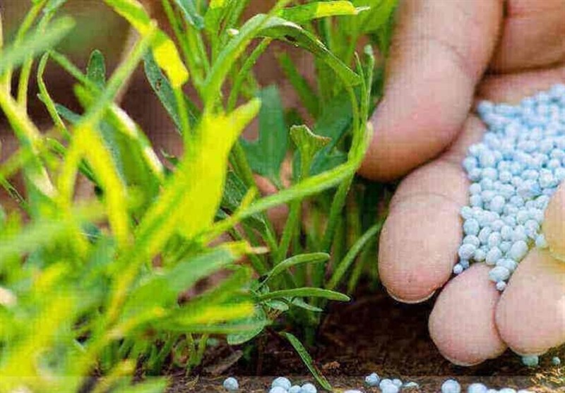 جایگزینی کشاورزی هوشمند با روش‌های سنتی در اصفهان/برنامه برای فرونشست