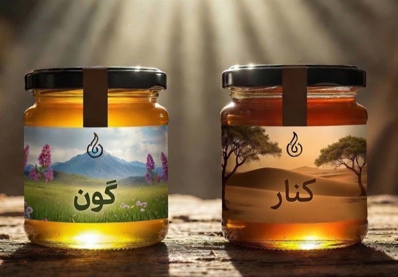 معجزه دو گیاه دارویی ایران؛ تفاوت عسل گون و عسل کنار در درمان بیماری‌ها چیست؟