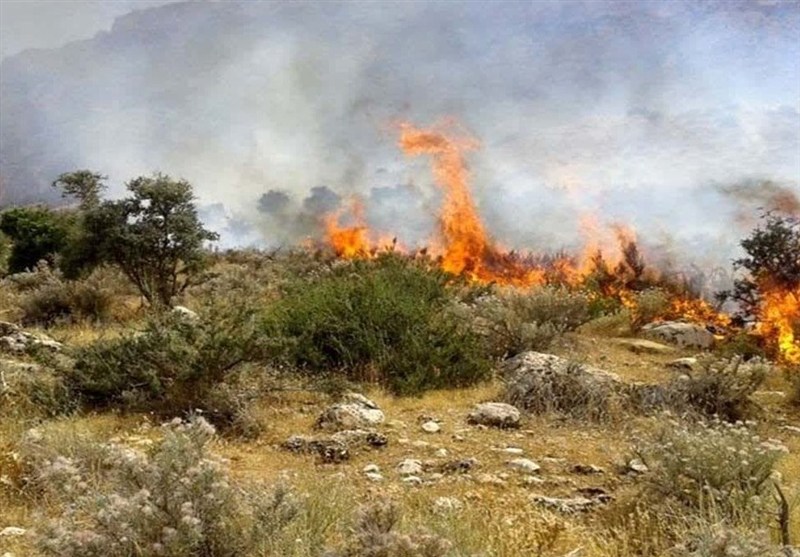 آتش برای دهمین بار در میانکاله زبانه کشید/ سریالی که پایان ندارد