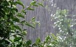 پیش‌بینی هواشناسی کرمان؛ کاهش دما و احتمال رگبار و رعدوبرق تا پایان هفته