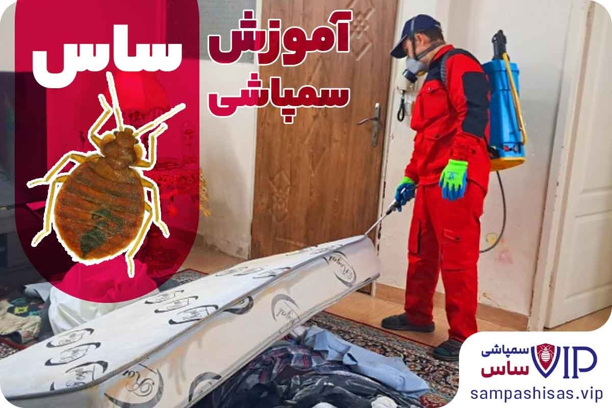 آموزش سمپاشی ساس - طبق راهنمای شرکت سمپاشی VIP ساس - درمان قطعی ساس