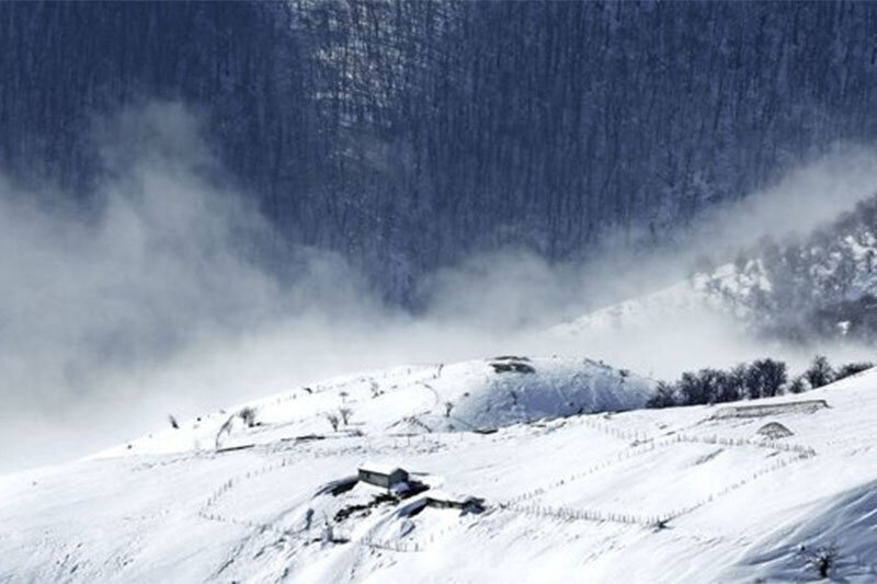 وضعیت کنونی توچال در قاب تصویر