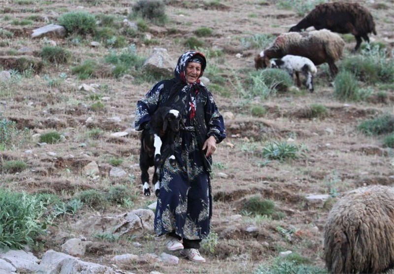 11 هزار مستمری‌بگیر همدان کمک معیشتی و عیدی دریافت کردند