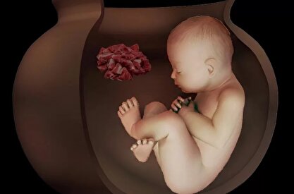 آیین عجیب تدفین ایرانیان باستان; دو جنین 6500 ساله در تپه چپرآباد ایران کشف شد