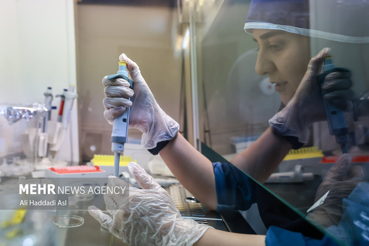 ۲۸۰۰ زوج نابارور در مازندران تحت پوشش بیمه سلامت هستند