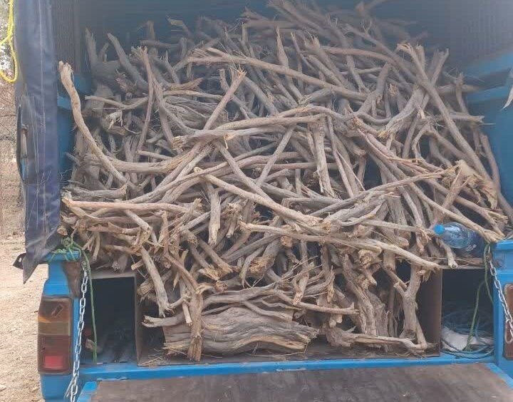 کنترل محموله های چوب در شهرستان بندرعباس