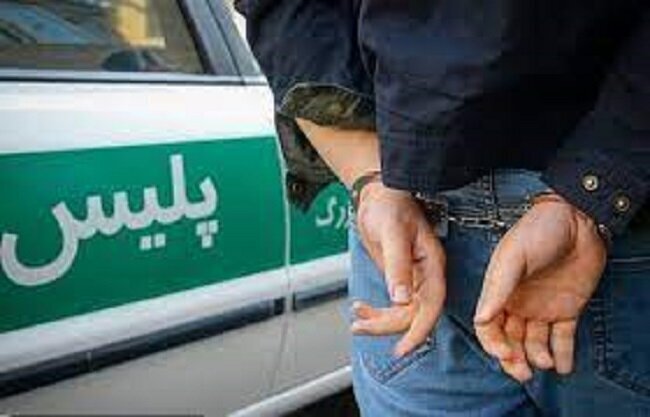 محموله کالای قاچاق در دشتستان کشف شد