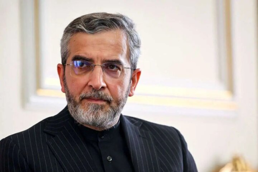 باقری‌کنی: استقلال ایران باید در برابر زیاده‌خواهی‌ها صیانت شود