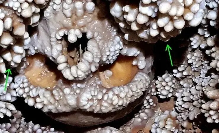 این مرد 128000 سال پیش در غاری به دام افتاد و اسکلت او با رسوبات "پاپ کورن غار" حفظ شد.