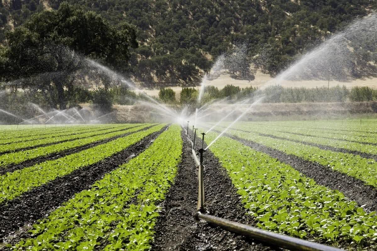 عباسی: طرح‌های نیمه‌تمام آبیاری در مازندران تعیین تکلیف شود