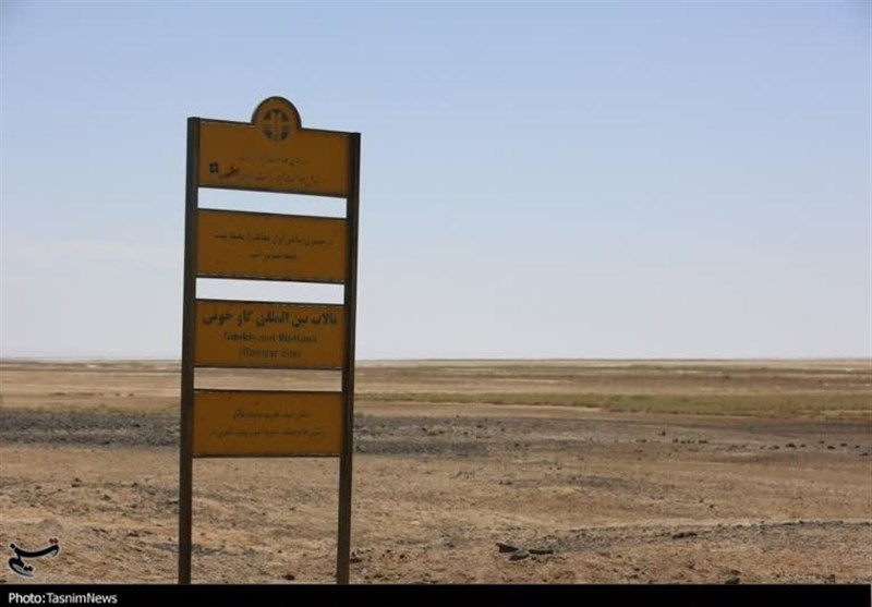 نجات گاوخونی در گرو تصویب طرح جامع احیای زاینده‌رود در ستاد ملی