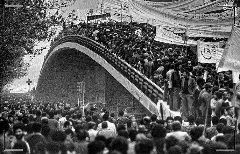 شیرجه رفتن در دهان نهنگ برای روایت انقلاب/ نظر سیمین دانشور درباره کتاب