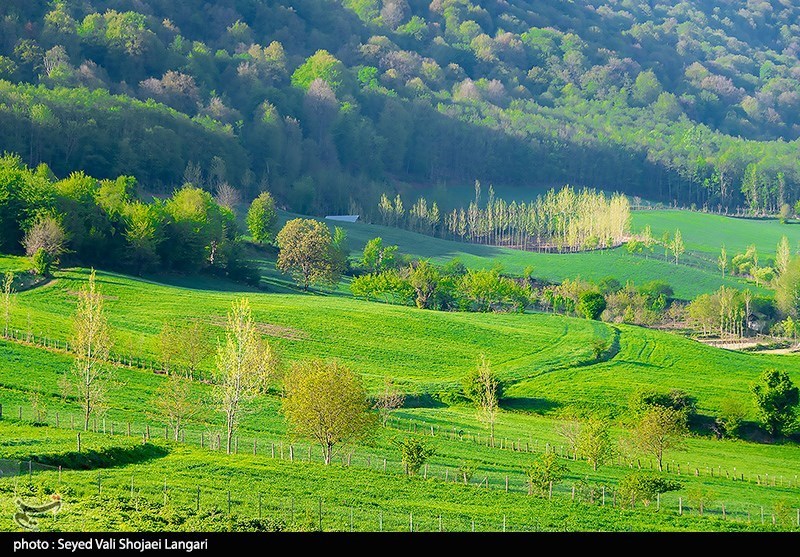 تولد "مرکز تخصصی هیرکانی" در قلب چالوس