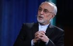 پاسخ علی‌اکبر صالحی به روایت روبیو از حمله هخامنشیان به یونان