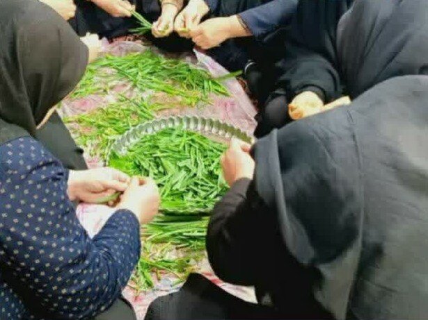 پشتیبانی بانوان هرمزی از رزمندگان جبهه دفاع از وطن