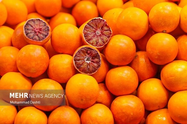 ۹۰۰۰ تن مرکبات از ساری صادر شد