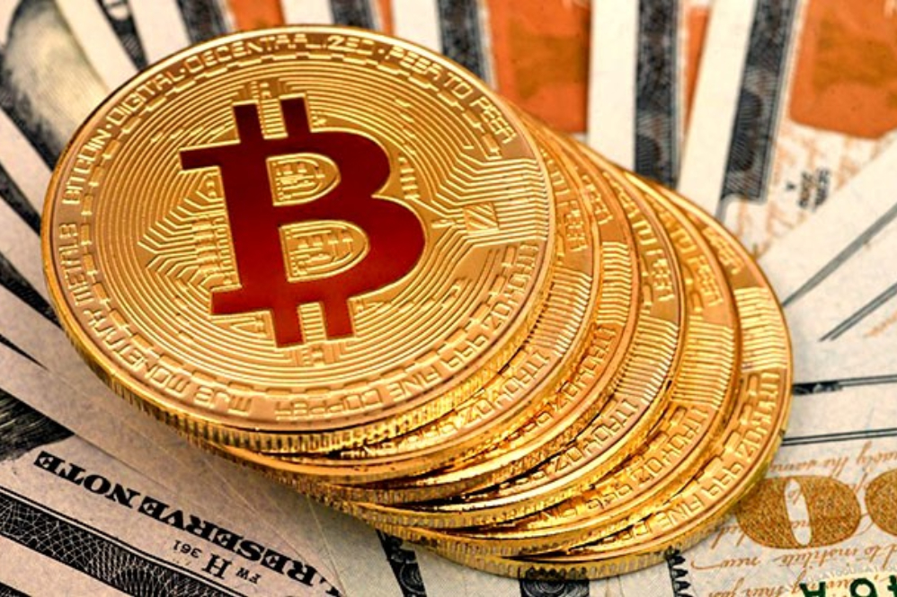 چه کسانی بیشترین بیت‌کوین جهان را دارند؟