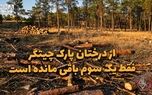 دوفوریتی | از درختان پارک چیتگر فقط یک سوم باقی مانده است