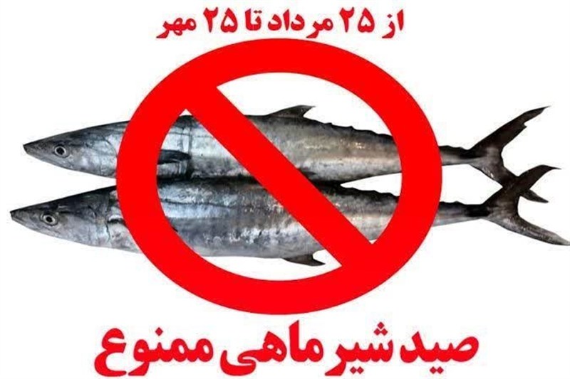 ممنوعیت دوماهه صید ماهی شیر در سواحل استان بوشهر