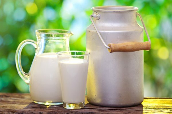 ناگفته‌هایی از ماندگاری شیرهای پاکتی؛ هشدار متخصص تغذیه