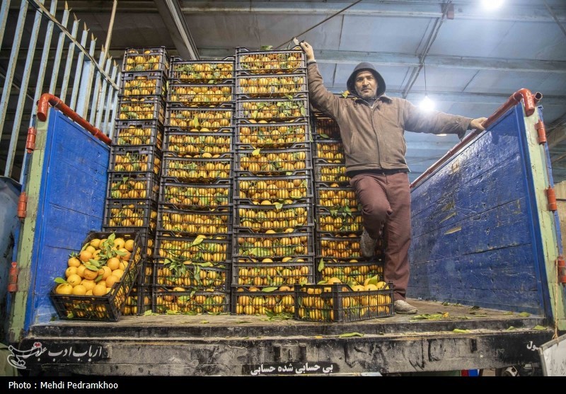 راه‌اندازی نخستین بازارچه «خودرو شهر میوه» در کرمان
