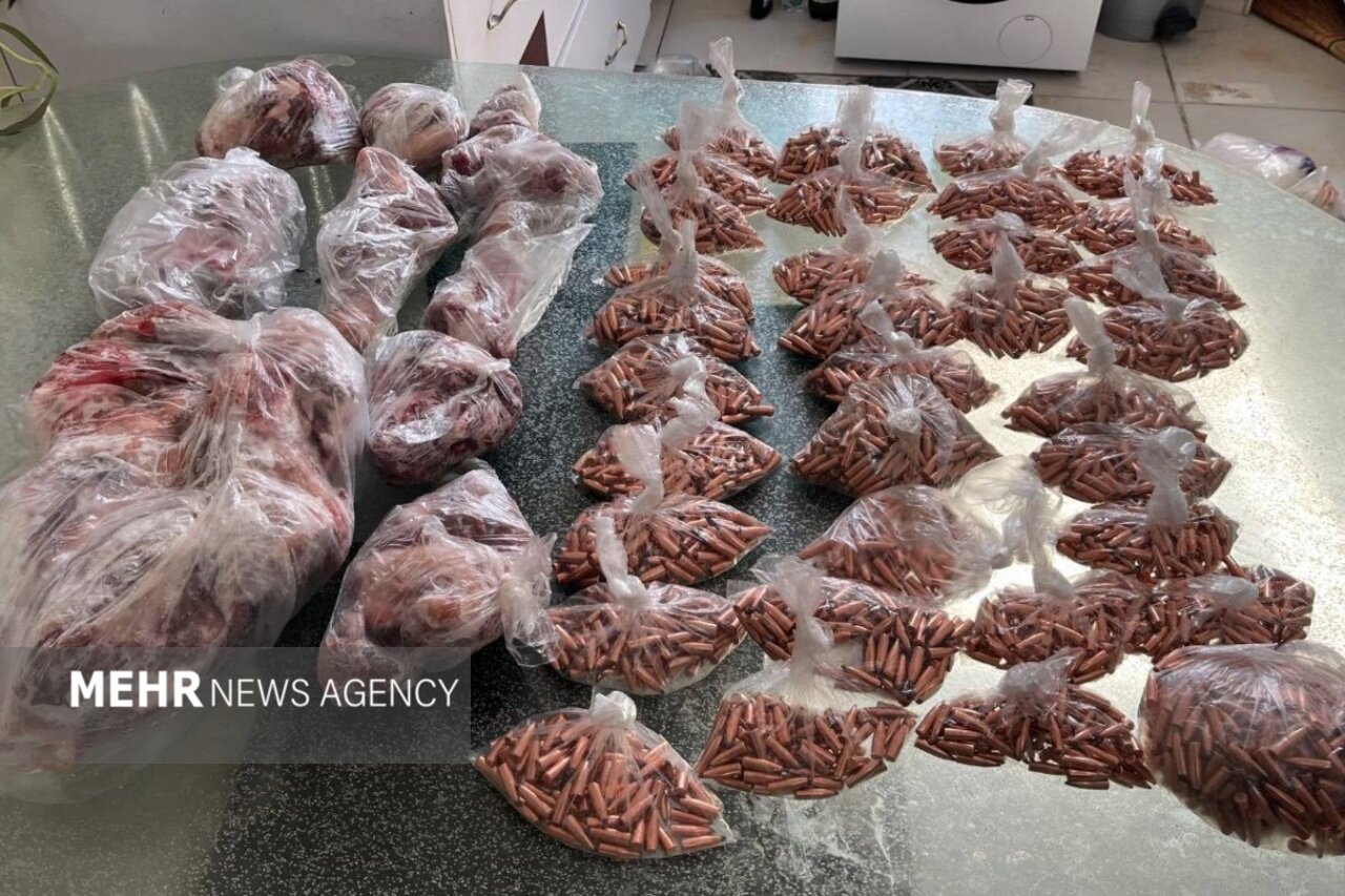 کشف ۲۵ کیلوگرم گوشت کل وحشی از مخفیگاه شکارچی متخلف در تهران