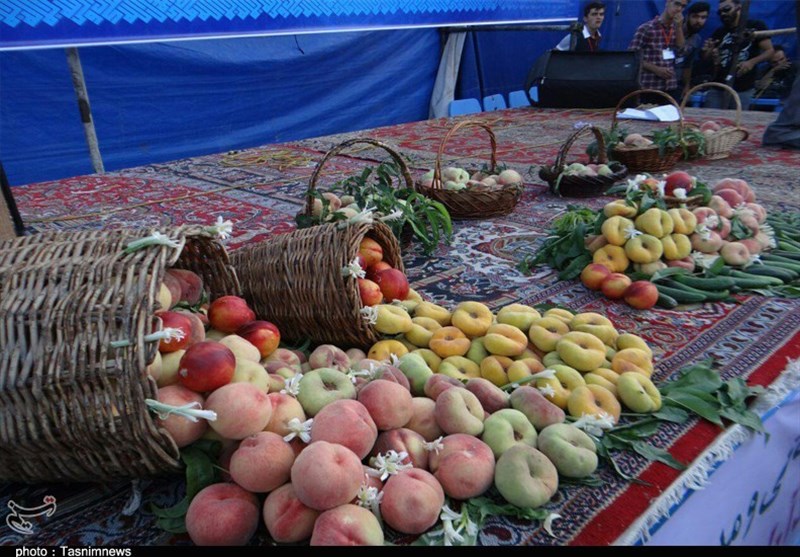 ظرفیت‌های کشاورزی اسدآباد چشم‌انتظار سرمایه‌گذاری و توسعه