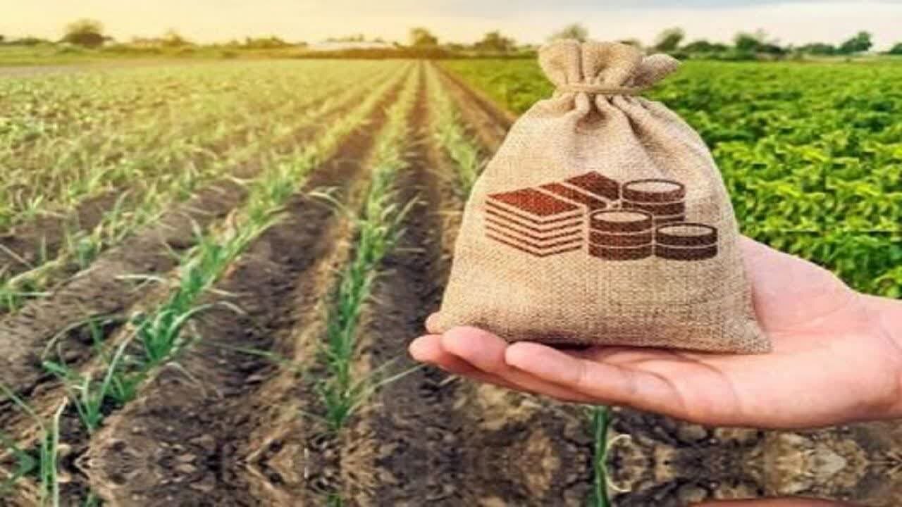 سند راهبردی صندوق بیمه کشاورزی در افق ۱۴۱۰ رونمایی شد