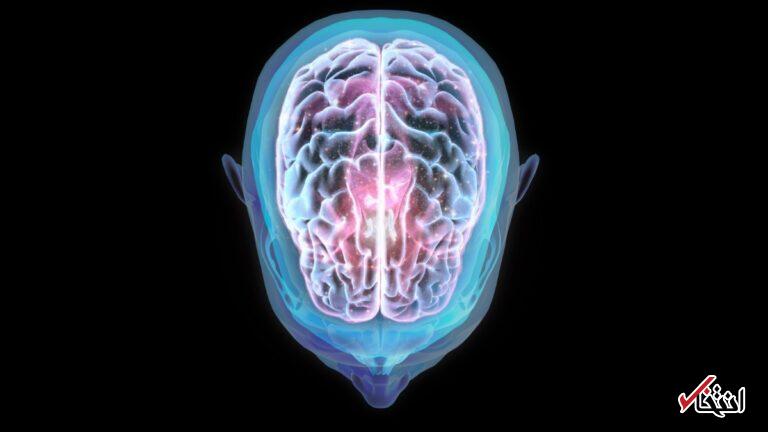 سفر فضایی چگونه جایگاه مغز انسان را تغییر می‌دهد؟