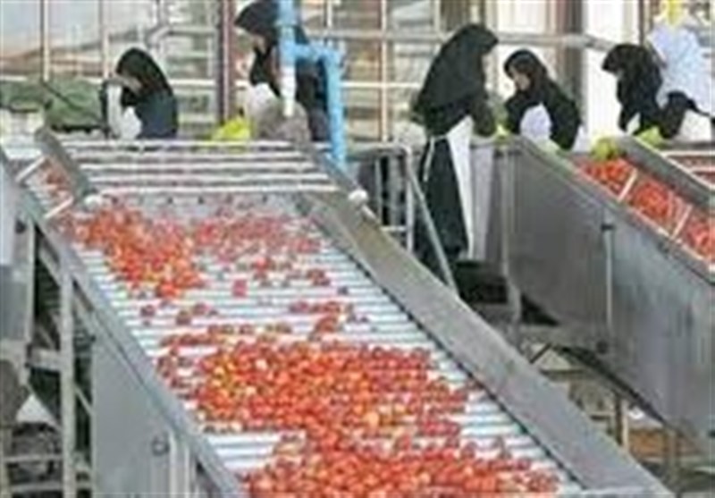 توسعه صنایع تبدیلی هدف مشترک توسعه اقتصادی همدان و کردستان