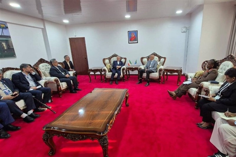 متکی در دیدار با رئیس مجلس تانزانیا: ایران خواهان تنش نیست
