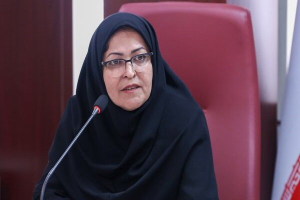 انصاری: صادرات را برای تولیدکنندگان قانون‌مدار تسهیل می‌کنیم