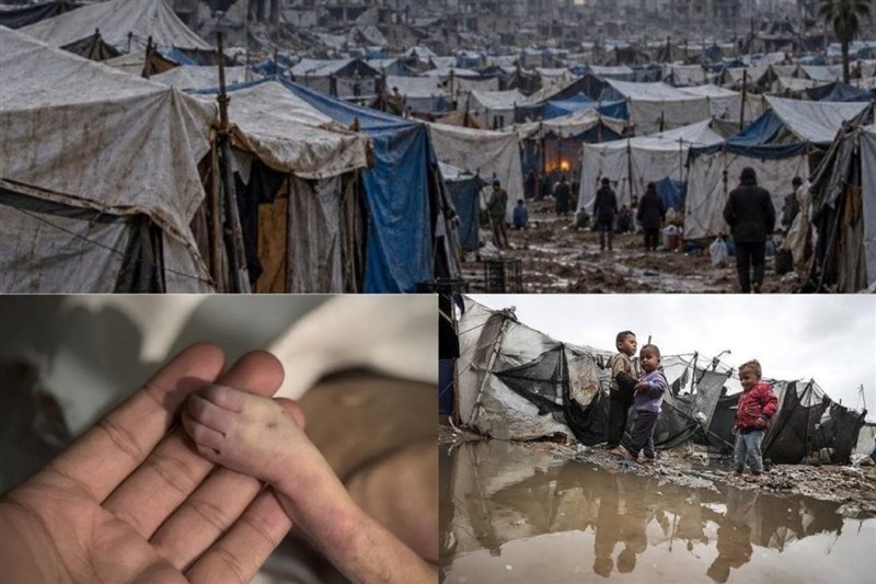 سلاح خاموش و مرگبار «زمستان» در راه غزه / 25 کودک و نوزاد یخ زدند