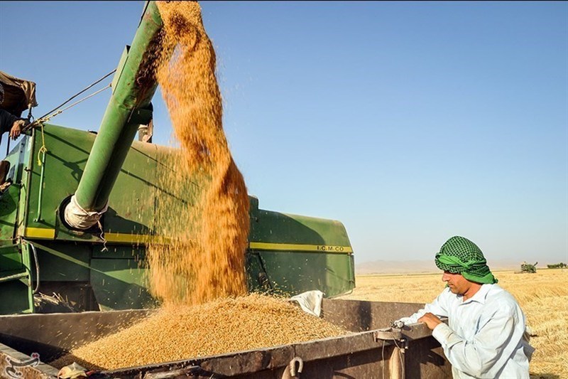 قیمت گندم در جلسه آتی شورای قیمت‌گذاری محصولات اساسی مشخص می‌شود