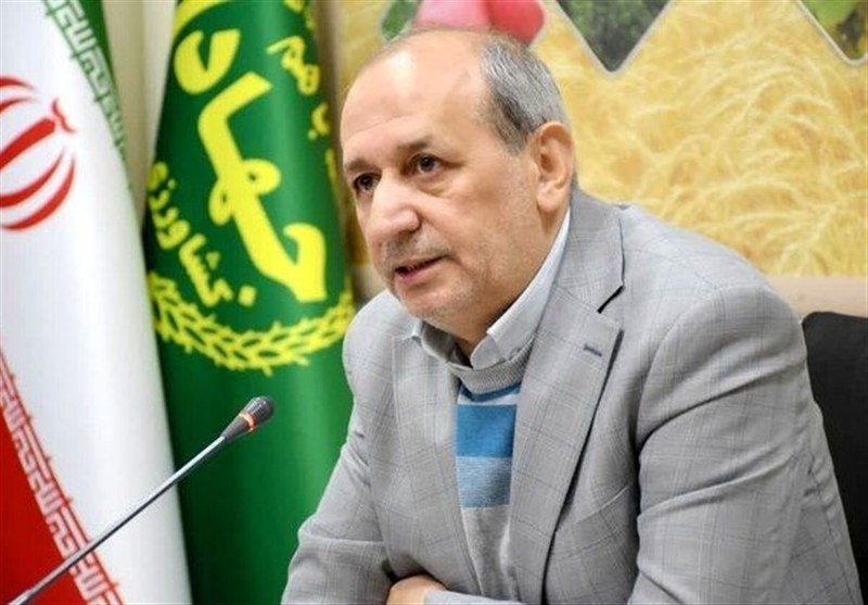هشدار نسبت به تأخیر در پرداخت مطالبات گندم‌کاران آذربایجان‌شرقی