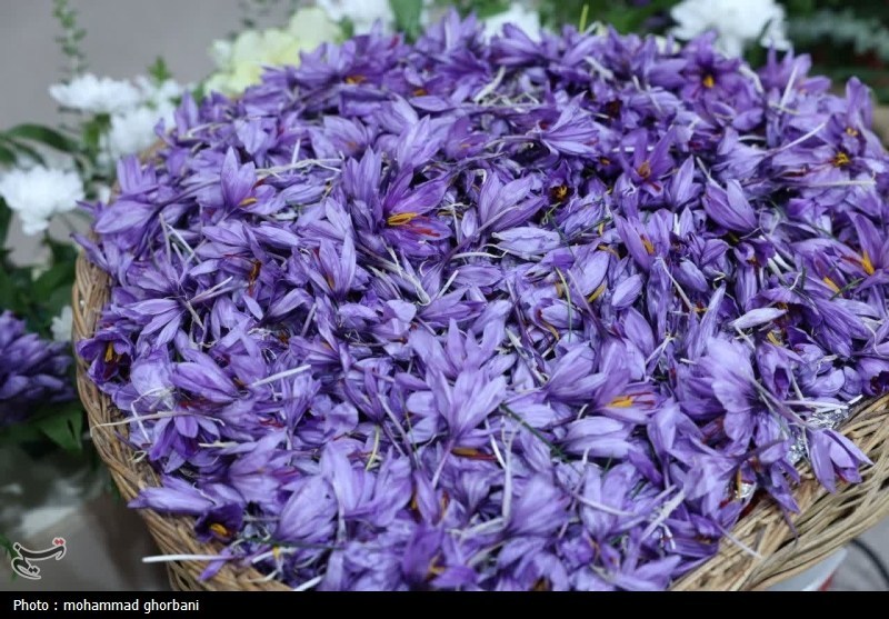 معامله 120 میلیارد تومان گواهی زعفران در بورس کالا