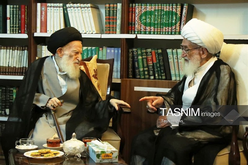 آیت‌الله نوری همدانی درگذشت آیت‌الله شبیری زنجانی را تسلیت گفت
