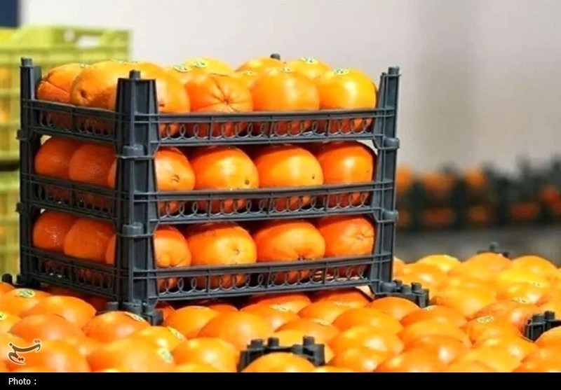 ذخیره کافی میوه شب عید در نظرآباد/ مردم نگران نباشند