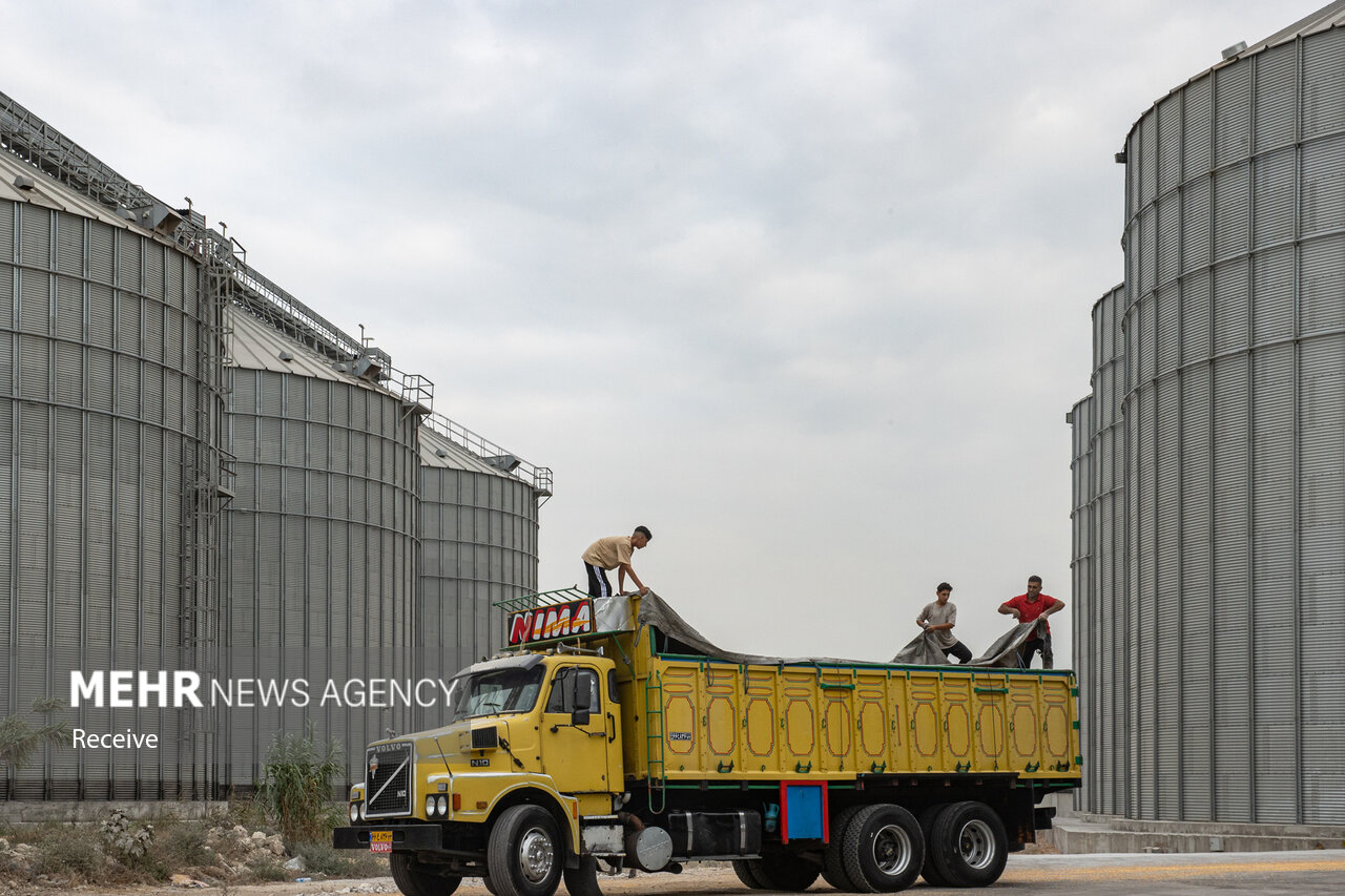 مازندران قطب راهبردی ذخیره‌سازی کالاهای اساسی می‌شود؛ احداث ۲ سیلو