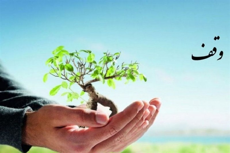 وقف برای فرزندآوری؛ پیشنهاد تأمین هزینه بارداری و تولد از محل موقوفات