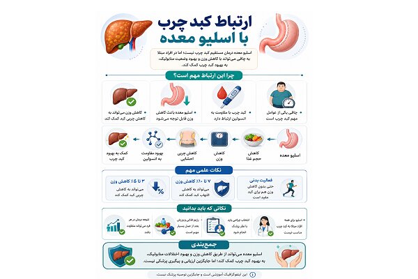 کبد چرب چیست و چرا با چاقی ارتباط دارد؟