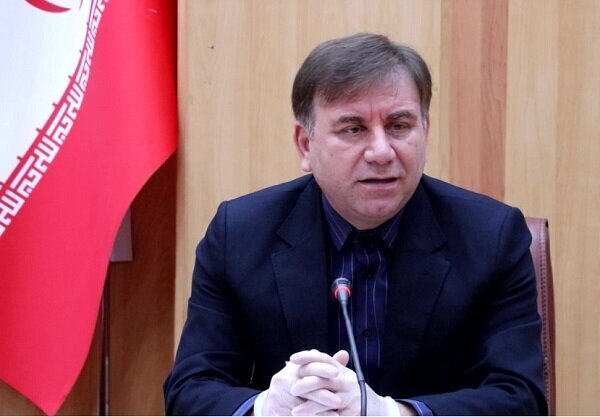استاندار بوشهر: طرح‌های اشتغال روستایی حمایت شوند