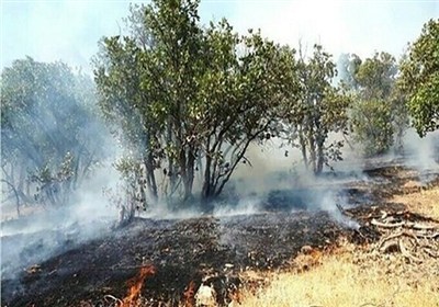یک‌سال پس از فاجعه آبیدر؛حقوق جان‌باختگان و مصدومان آتش‌سوزی پرداخت شد