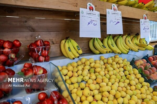 بازار قطر آماده افزایش واردات میوه از ایران