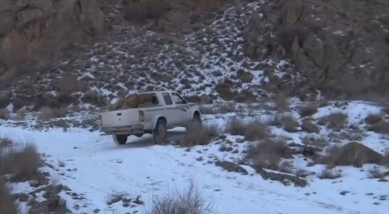 عباس نژاد: آمادگی محیط‌بانان برای شرایط برفی و صعب‌العبور الزامی است