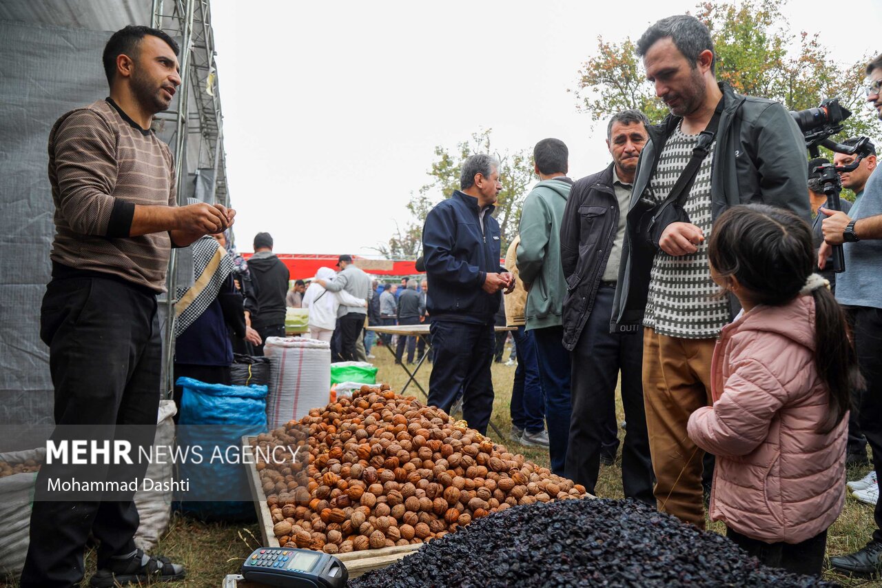 جشنواره گردوی ثمرین اردبیل