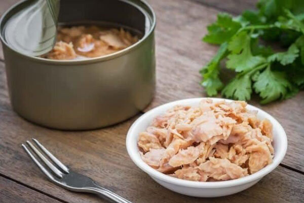 آغاز ثبت سفارش واردات ماهی تون از ۳۱ تیرماه